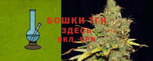 хмурый Медногорск