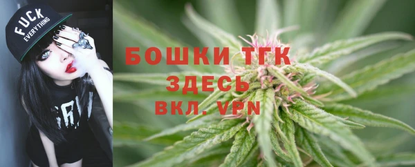 мдпв Мегион