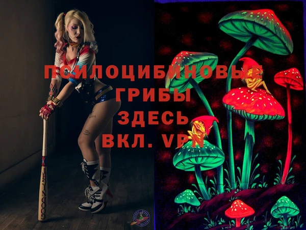 хмурый Медногорск