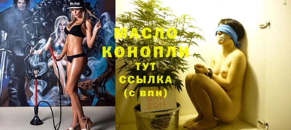 гашик Апатиты