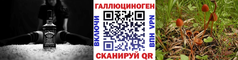 Псилоцибиновые грибы Cubensis  Гаврилов Посад 