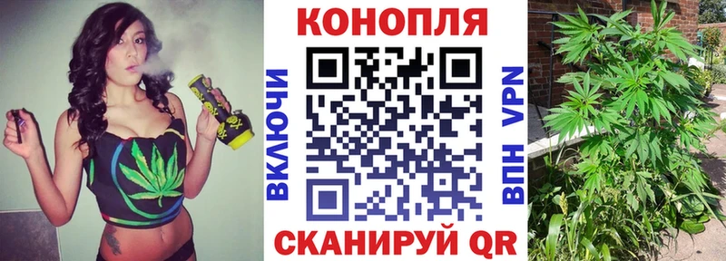 Бошки марихуана LSD WEED  мориарти официальный сайт  Гаврилов Посад 